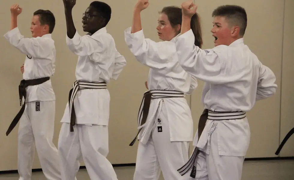 Kaichou Kai Karate Association