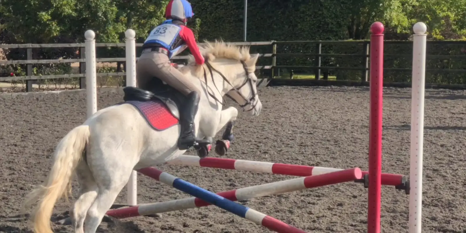 Chiddingfold Pony Club