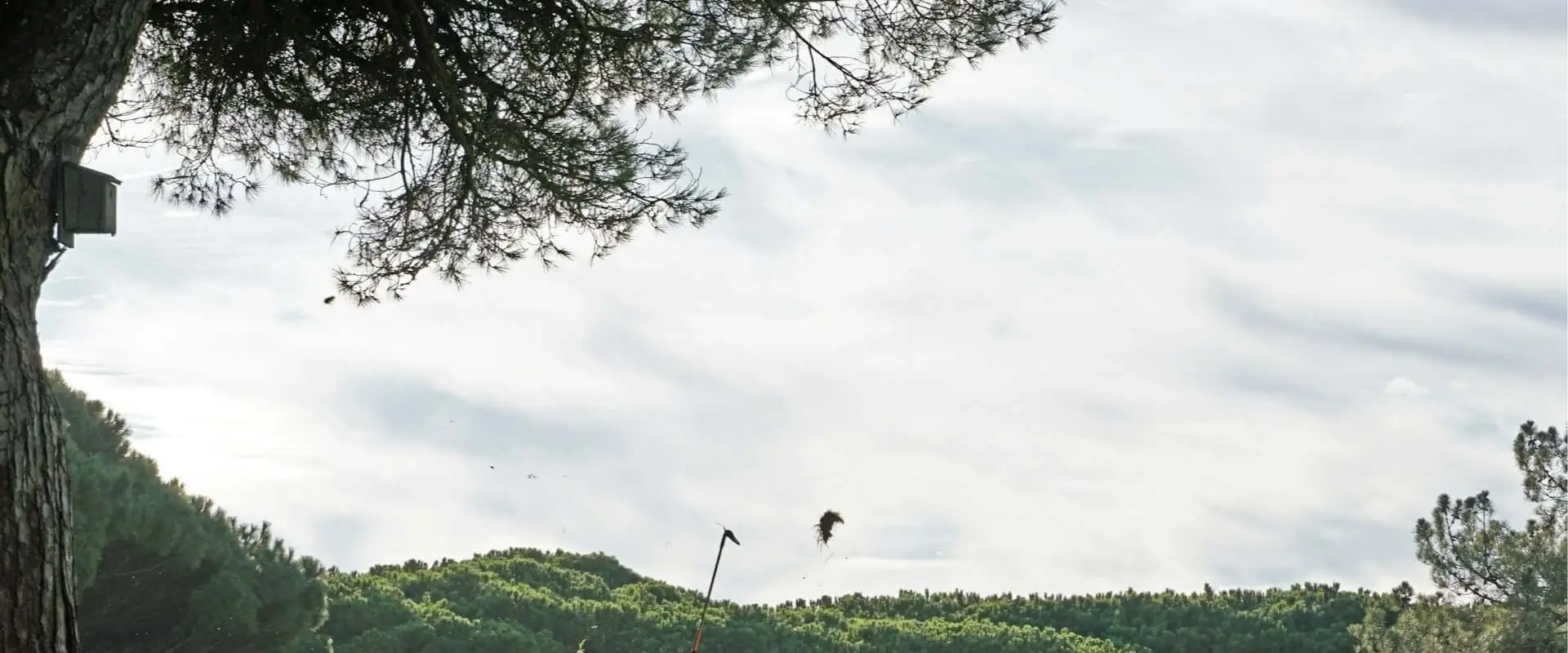 The Golf Performance Project