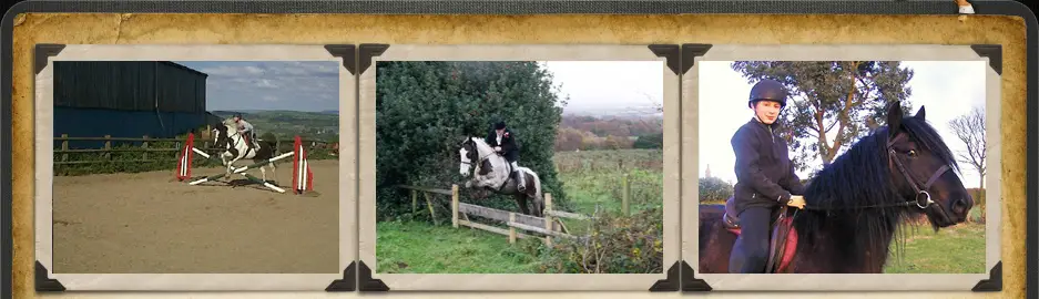 Aldercliffe Riding Establishment