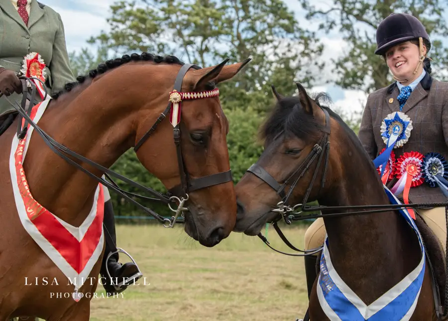 South Kilworth riding club