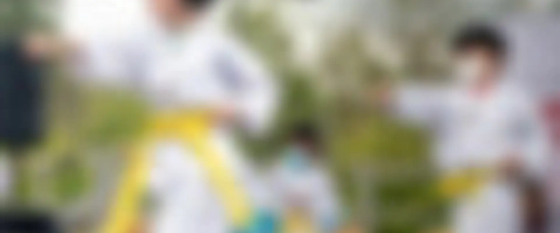 Wu's Taekwondo School