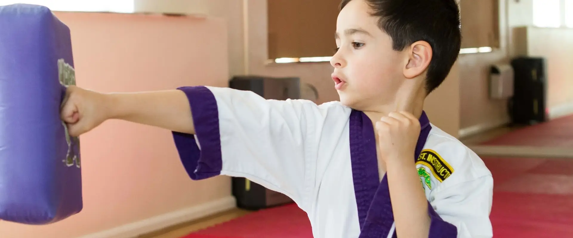 Taylor's Martial Arts