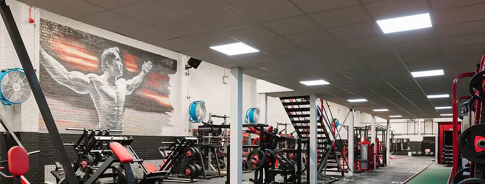 Ab Salute Gym