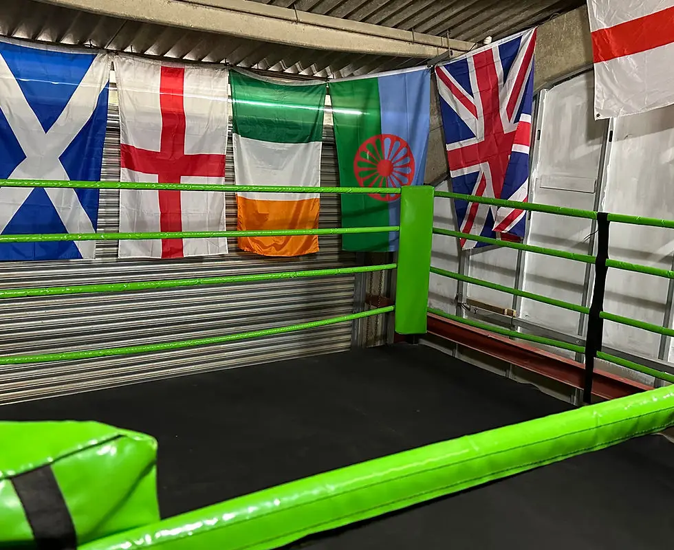 The future boxing academy