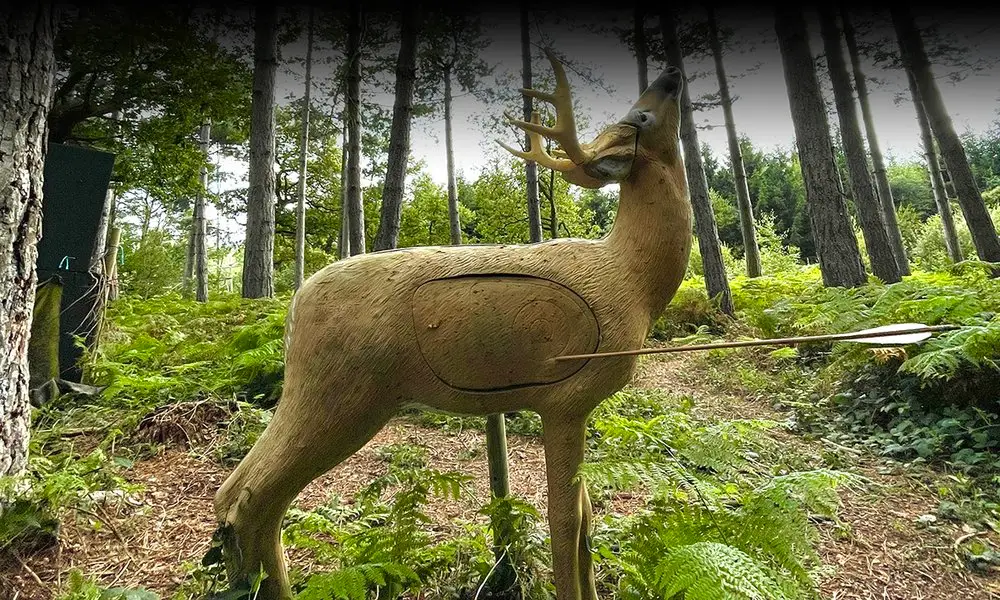 Company of Sixty Archery Club