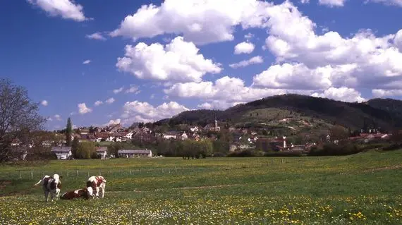 Gymnase