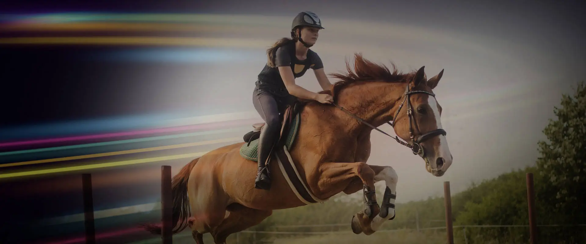 The Treliever Equestrian Centre