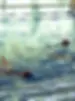 Synchro PEI