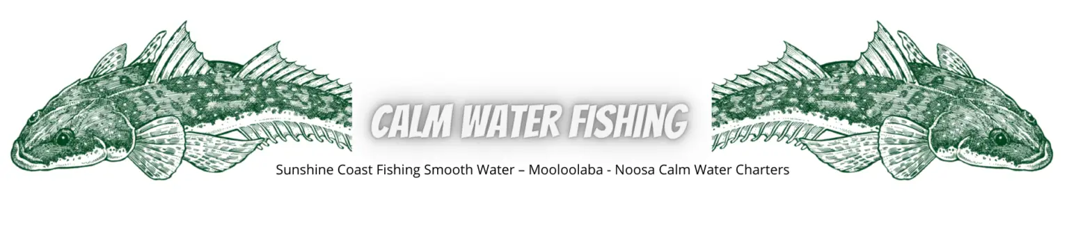 Mooloolaba Fishing