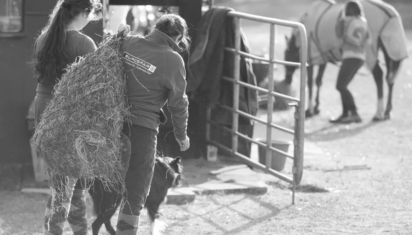 Lime Park Equestrian Centre