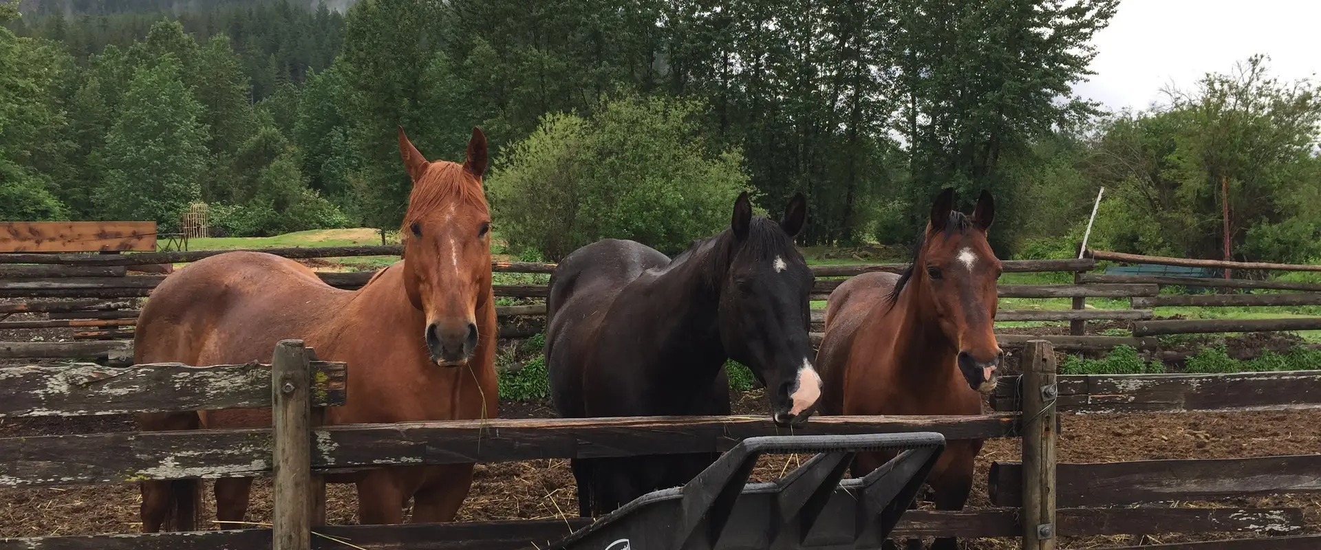 Adventures On Horseback