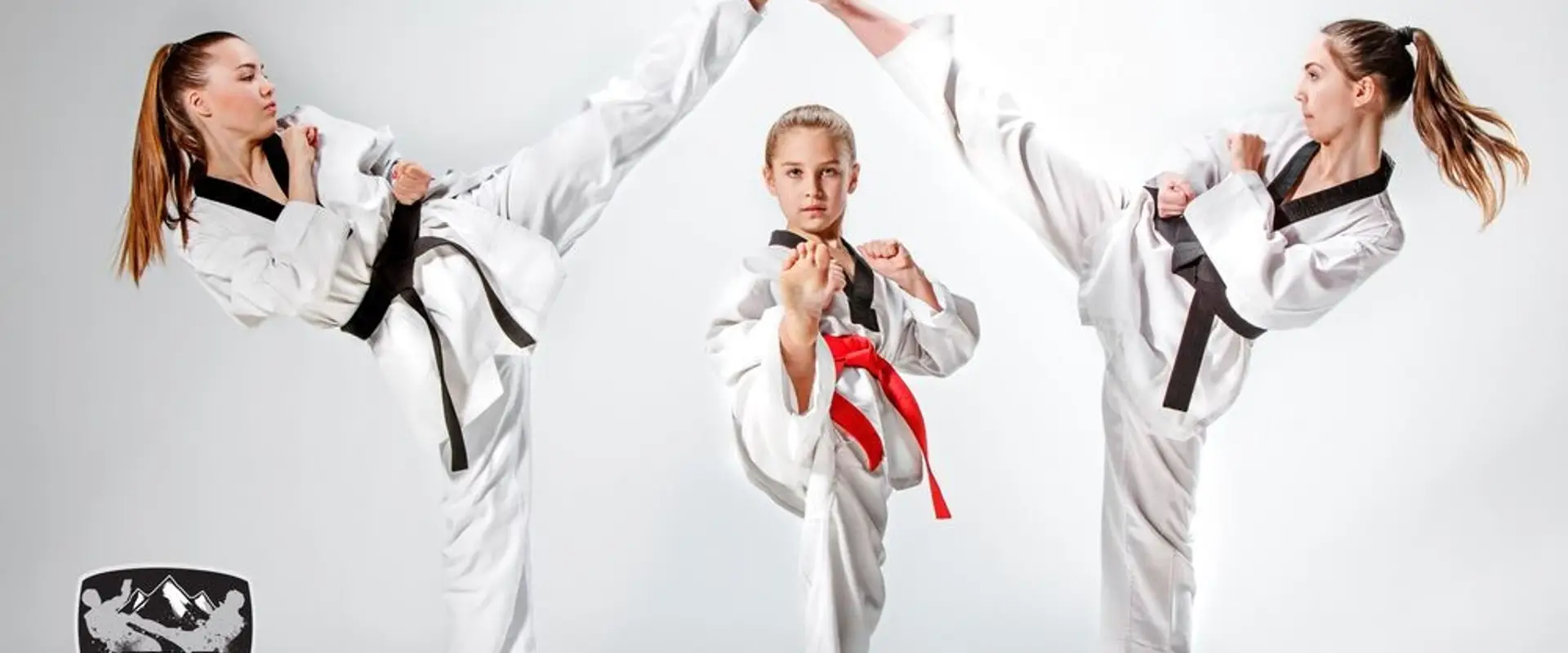 HLD TAEKWONDO CA