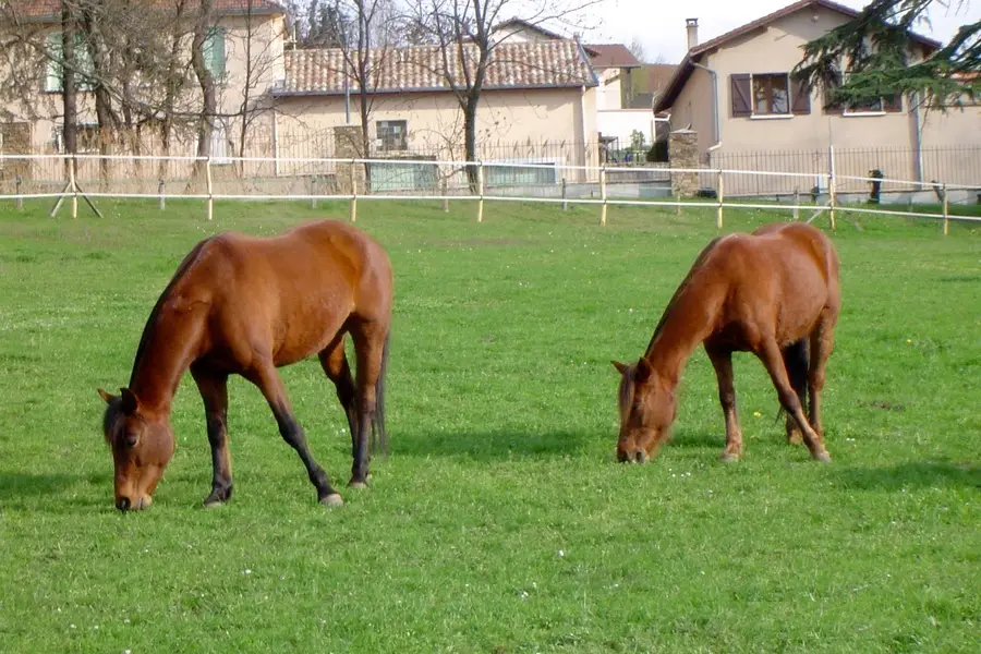 Les Ecuries De L'octroi