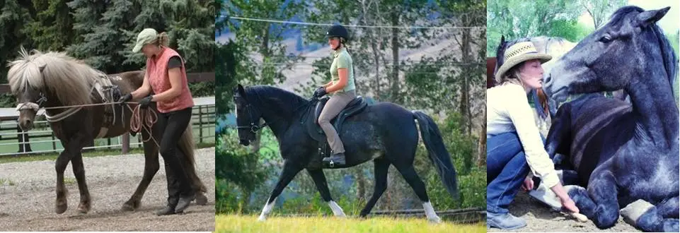 In Touch With Your Horse