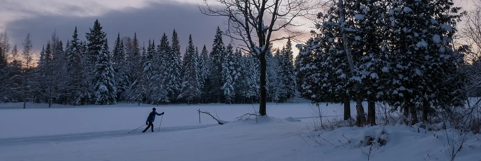 Club De Ski De Fond De Thetford