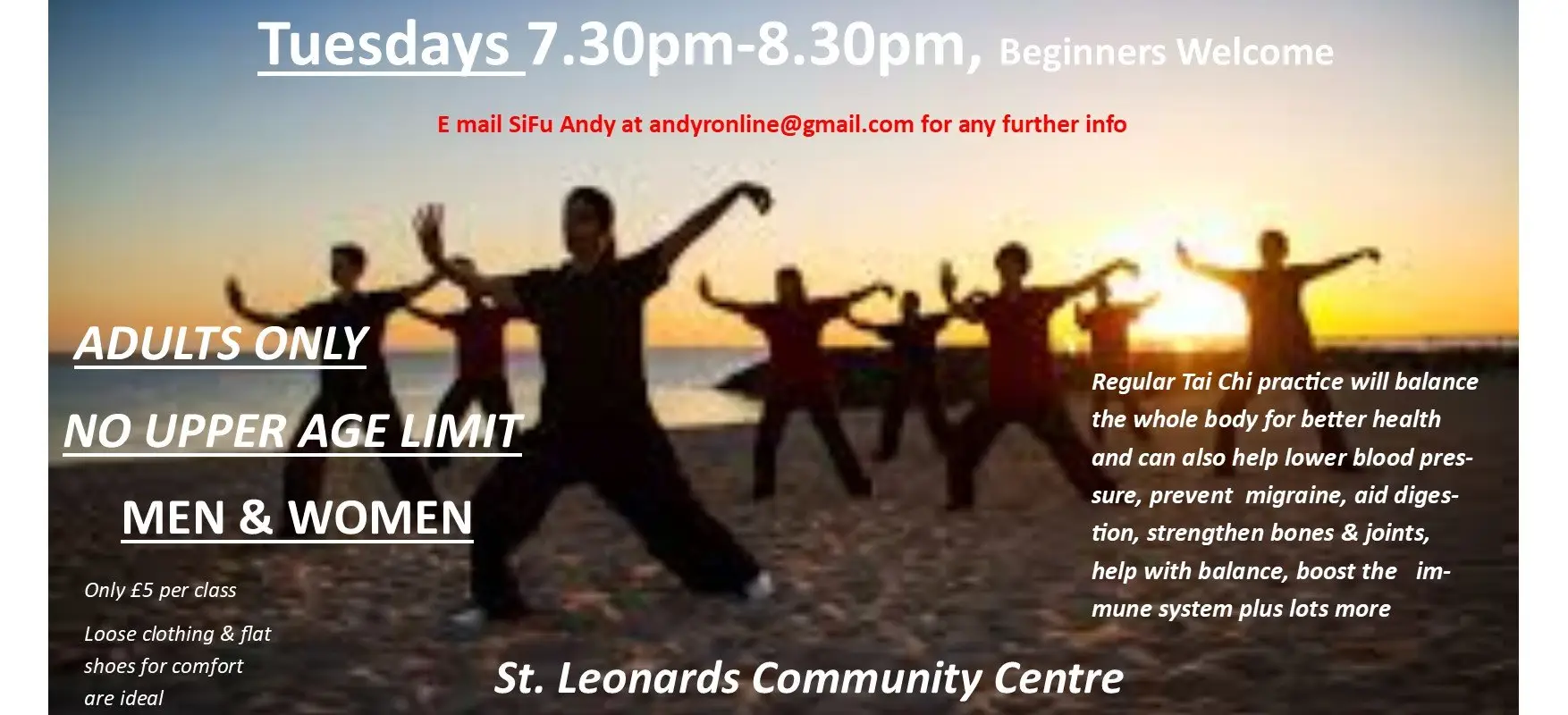 THE KUNG FU SCHOOL