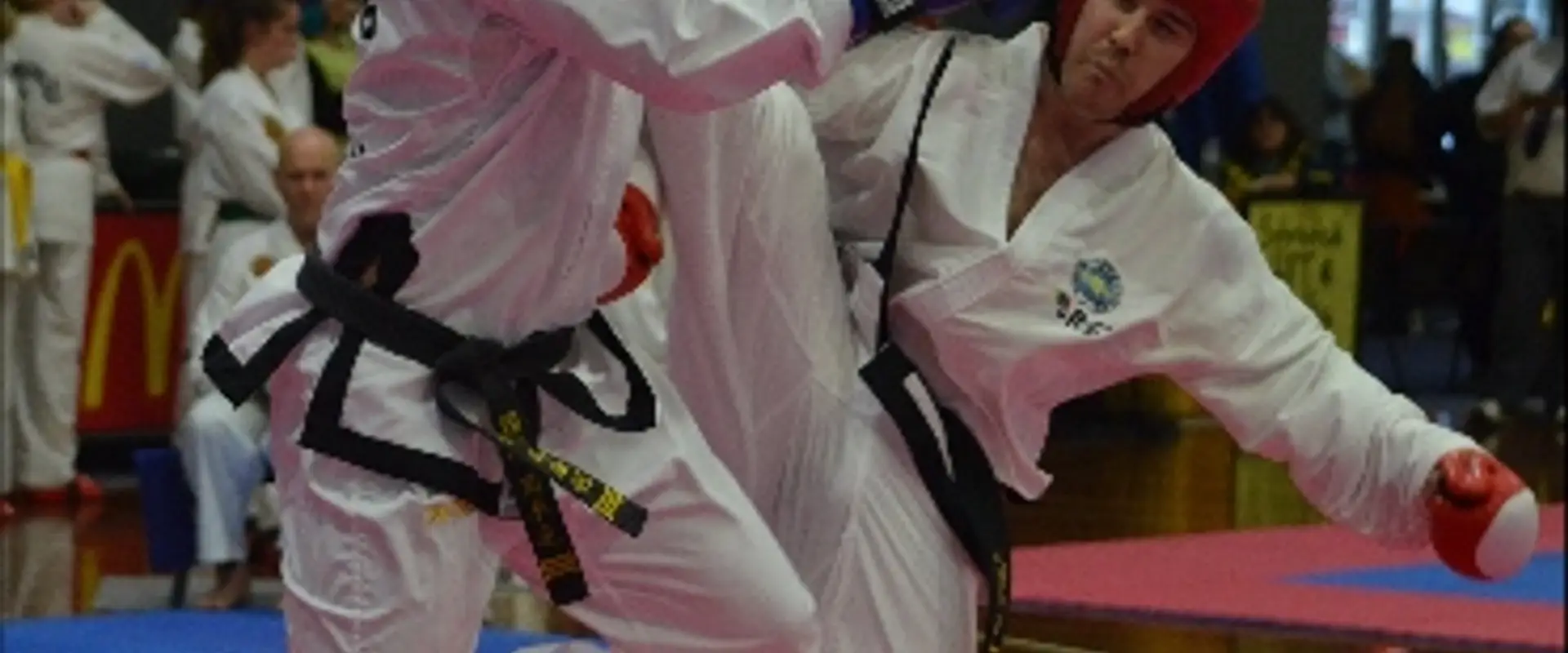 Ultimate Taekwon-Do