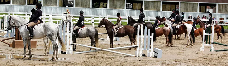 Earthbound Stable