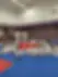 DRV-Judo Club Peaugres Félines