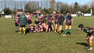 Nuneaton RFC Ltd