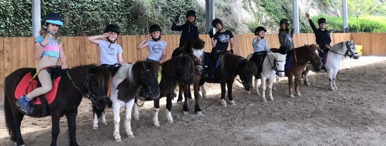 Sun Equitation