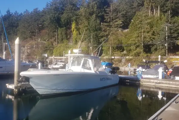 Watermark Salmon Fishing Charters
