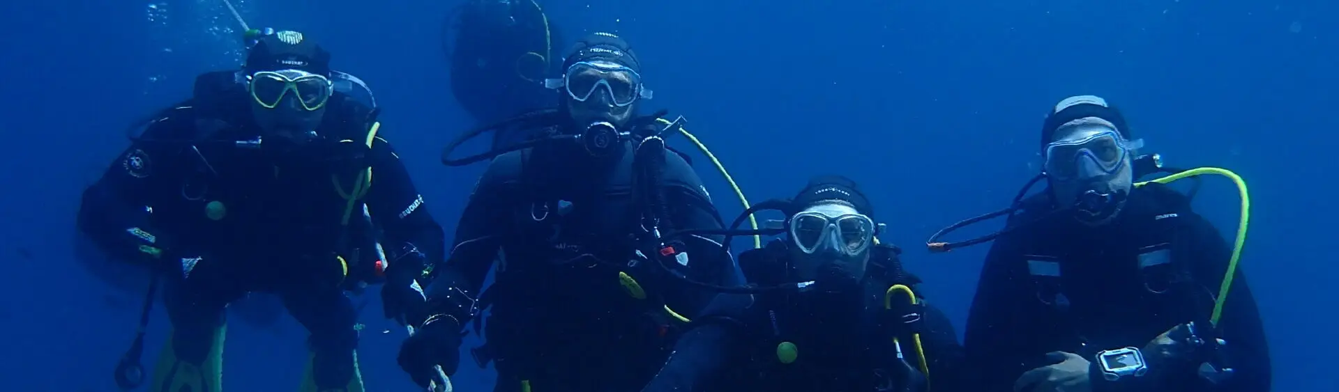 CSVN Narcosis