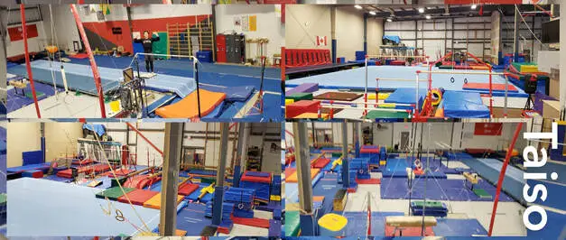 Taiso Gymnastic Club