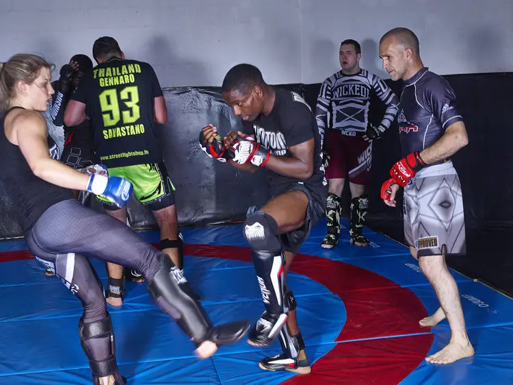 Free Fight Academy