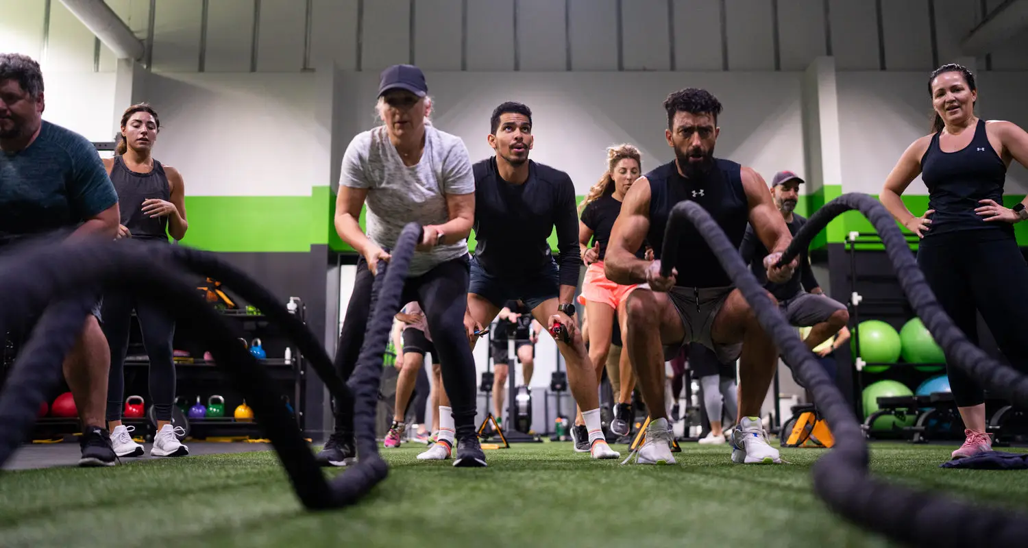 The Fitness Lab