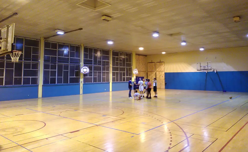 Eveil de Lyon basket