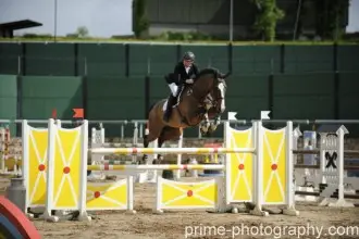 Ireland Horse Sport and Leisure