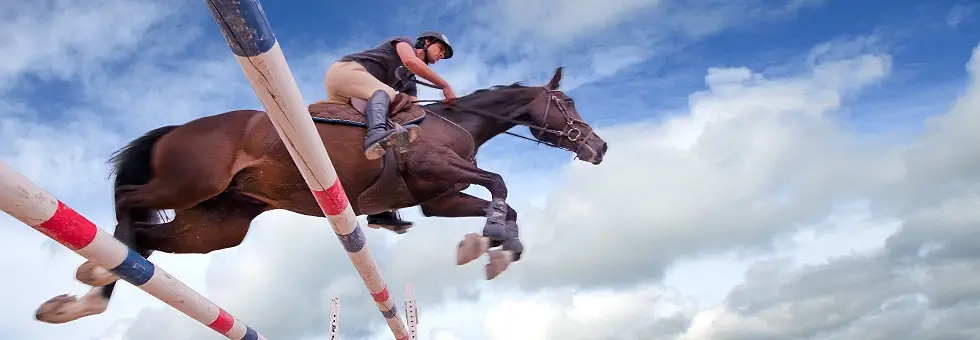 Equestrian Field De Chevillon