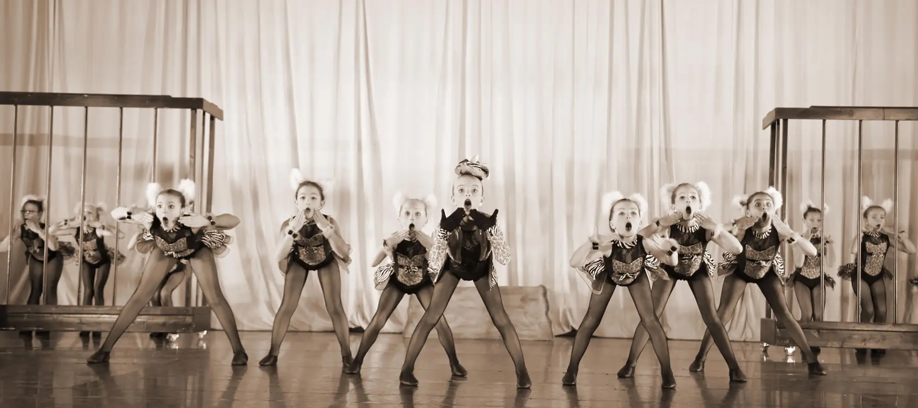 DanceRoots