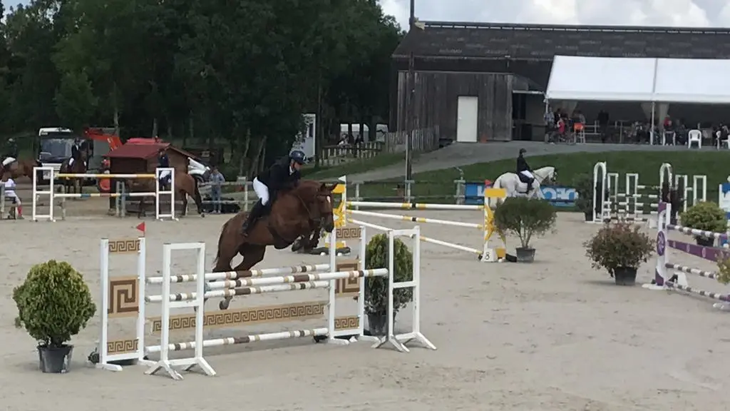 Dem Area Equestrian De Monnières