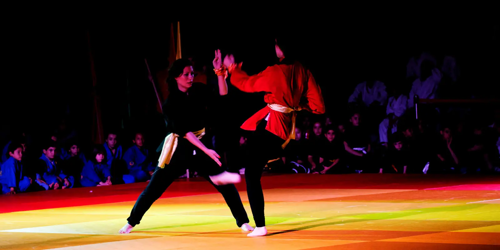 Tam Vo Dao School Of Vovinam Viêt Vo Dao Paris