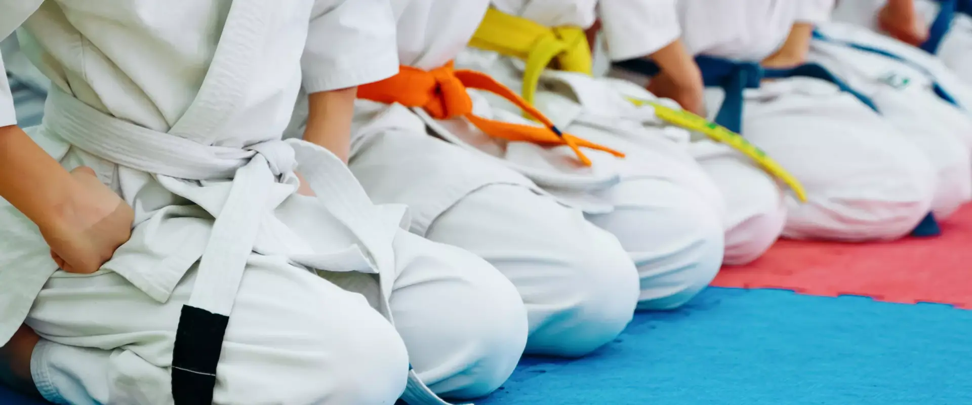 Judo Club Agenais
