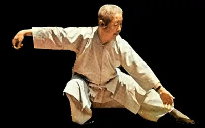 Yin Yang Chi Kung Fu Martial arts Research & Develpoment Association.Since-1976