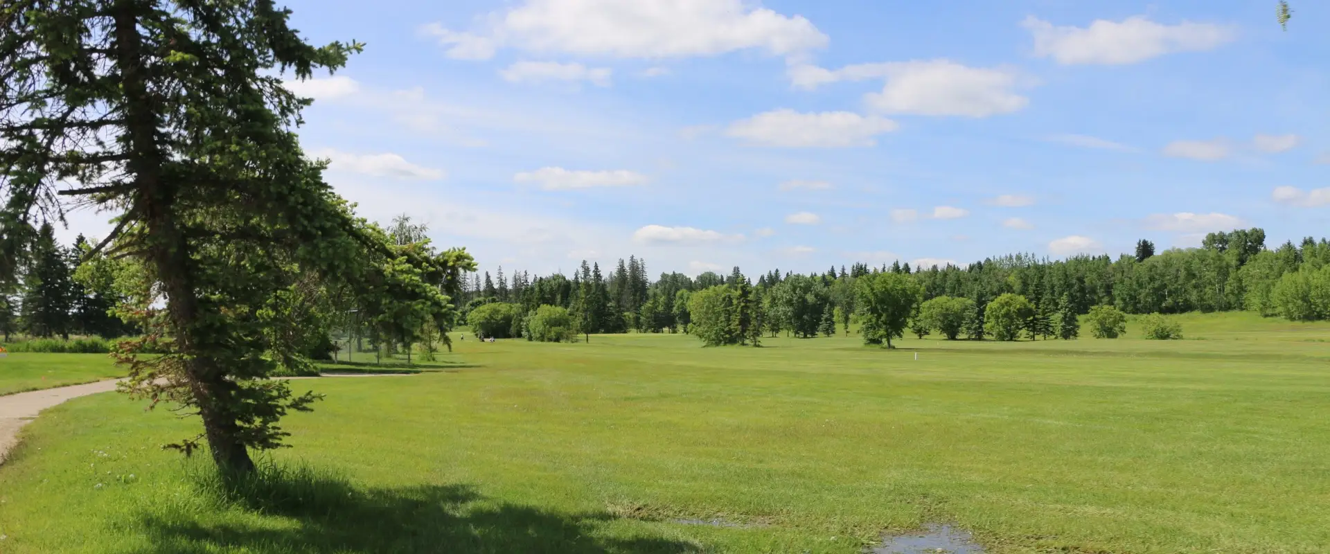 Meadowview Golf & Country Club