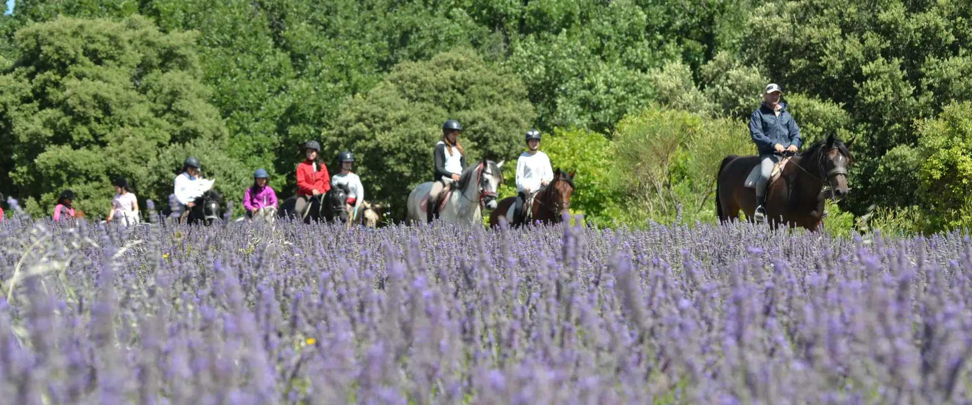 DOMAINE EQUESTRE DU MOULIN