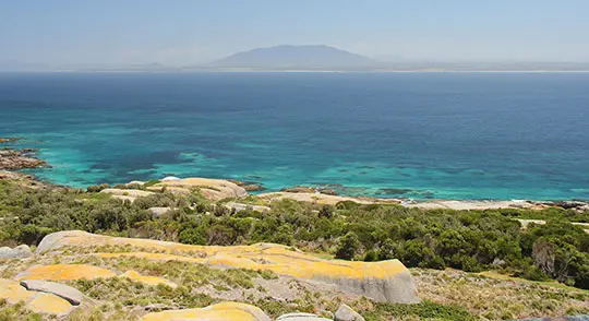 Seal Dive Site