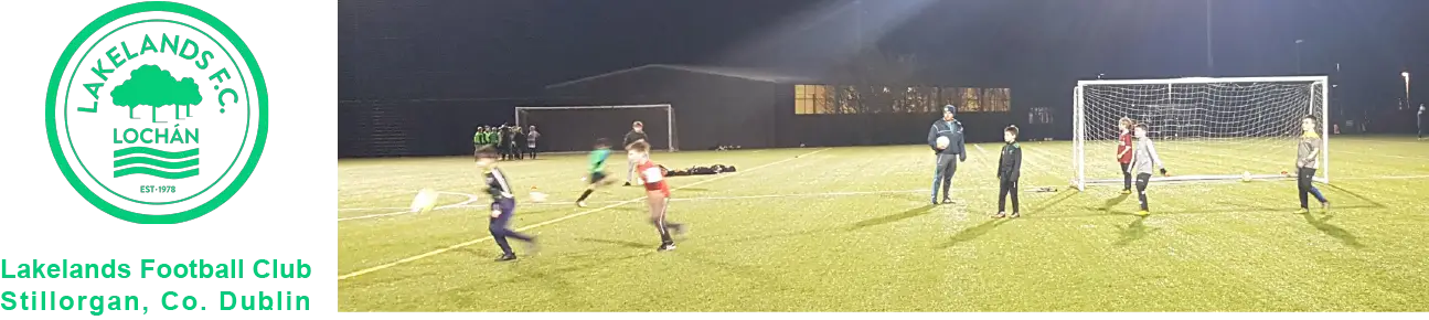 Lakelands FC Marlay Park Pitch 1