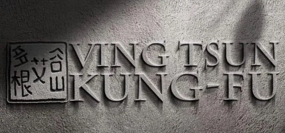 Mann Family School of Kung Fu (Ip Man Wing Chun)