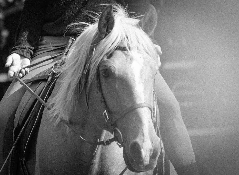 Cheval Vert Equitation