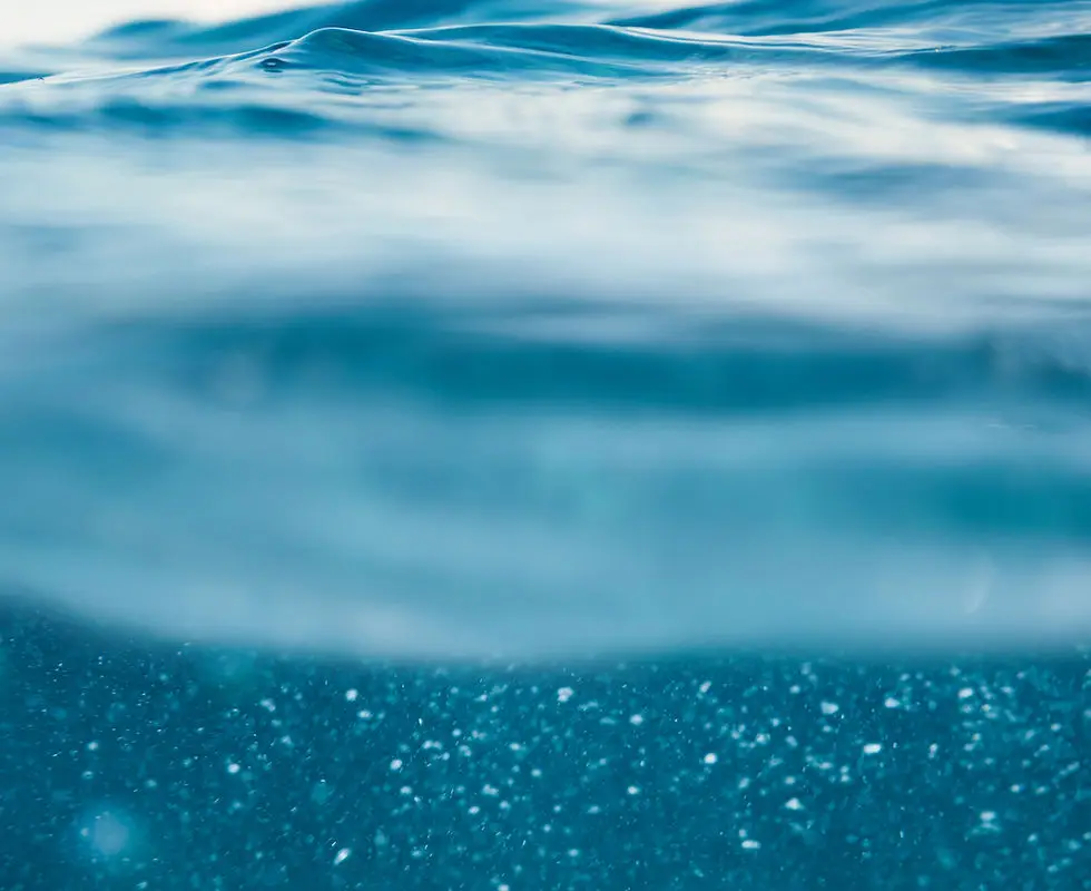 Swim With Me