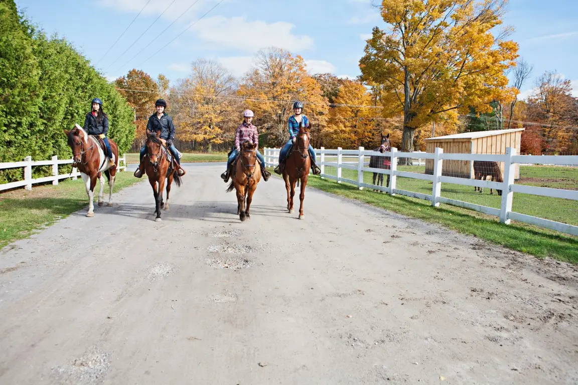 Carousel Canada Equine Riding Centre