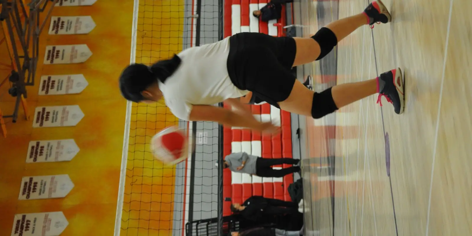SubZero Volleyball