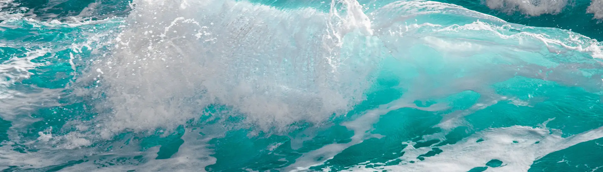 The Surf Club Cornwall