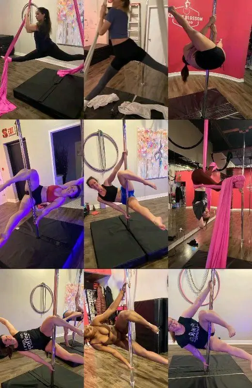 Cherry Blossom Aerial Dance Studio